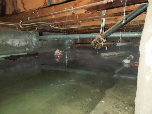 Best Water damage restoration near me  in White City, UT