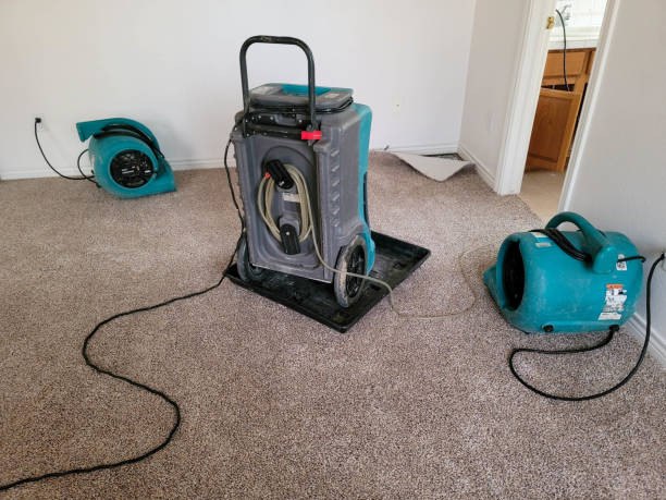  White City, UT Water damage restoration Pros
