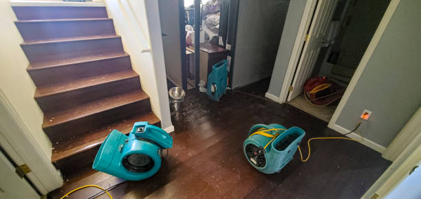 Best Water damage restoration mold remediation  in White City, UT