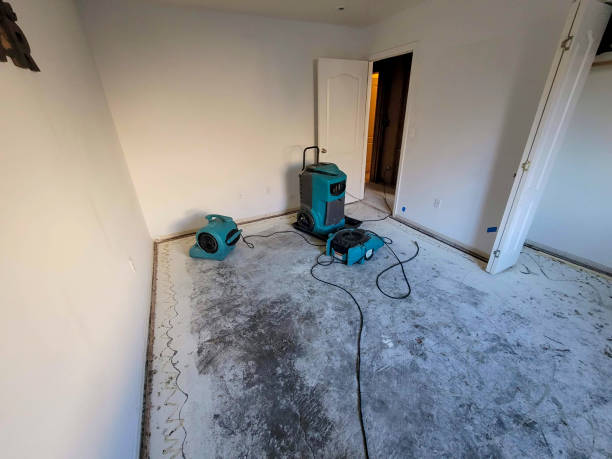 Water damage restoration insurance claims in UT