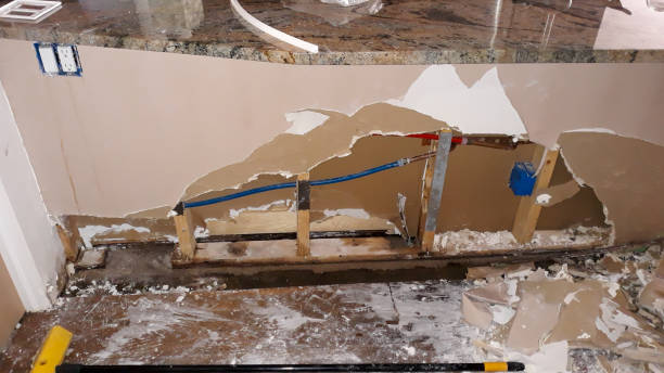 Best 24/7 water damage repair  in White City, UT