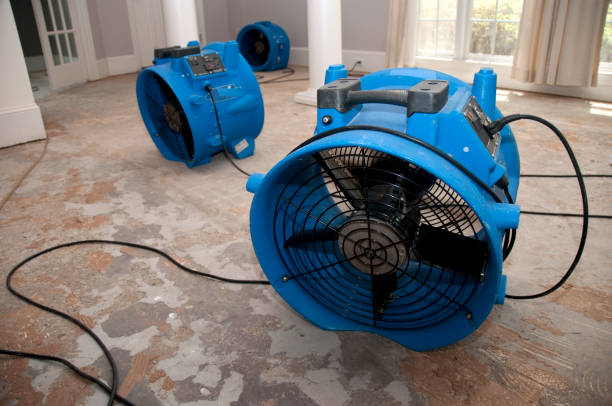 Best Basement water damage restoration  in White City, UT