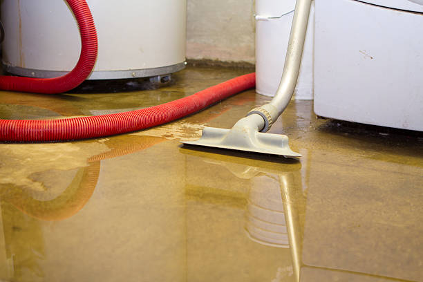 Best Mold removal after water damage  in White City, UT