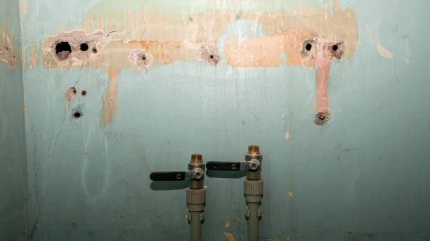Best Water damage cleanup near me  in White City, UT