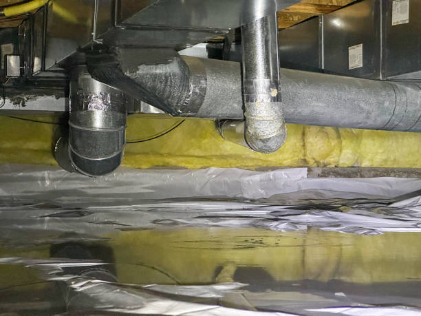 Best Professional water damage repair  in White City, UT