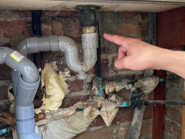 Best Fire Damage Restoration  in White City, UT