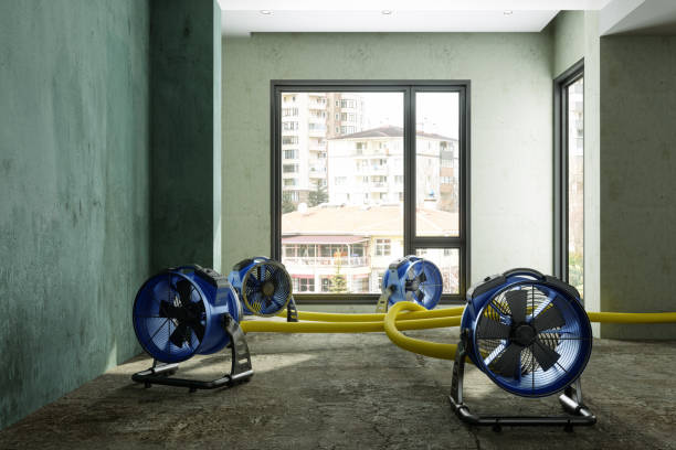 Best Commercial water damage restoration  in White City, UT