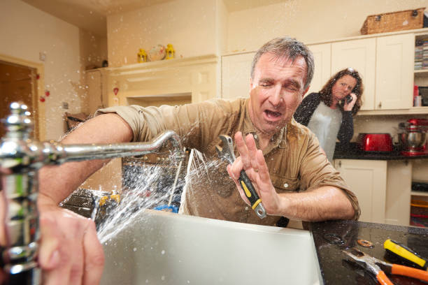 Best Water damage contractors near me  in White City, UT
